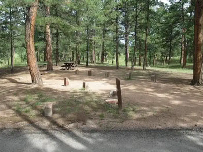 South Meadows - Pike San Isabel NF (CO) photo 2