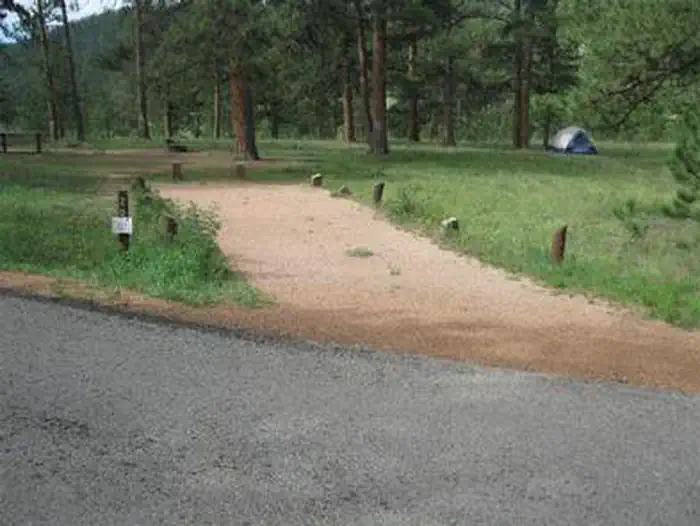 South Meadows - Pike San Isabel NF (CO) photo 4