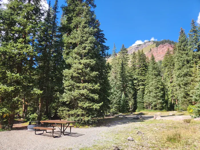 South Mineral photo 3