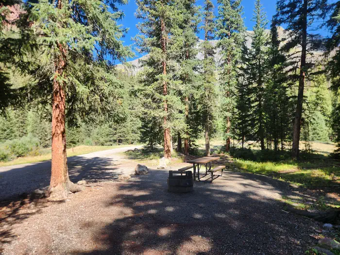 South Mineral photo 4