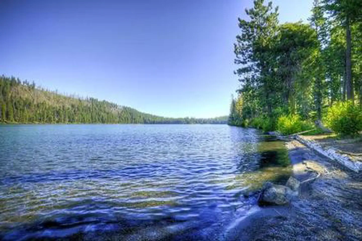 South Shore photo