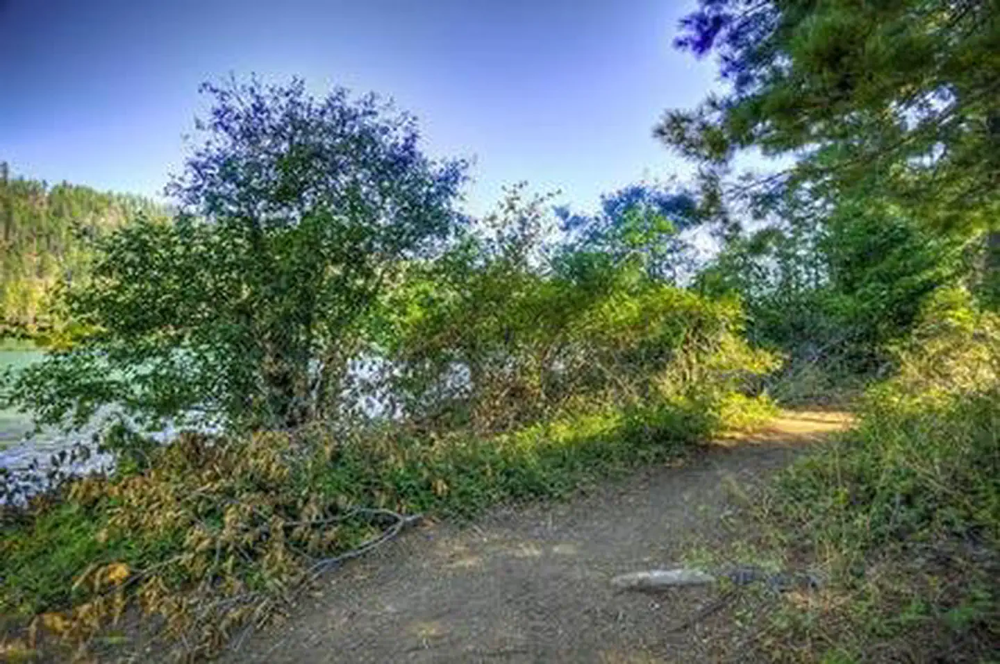 South Shore photo 2