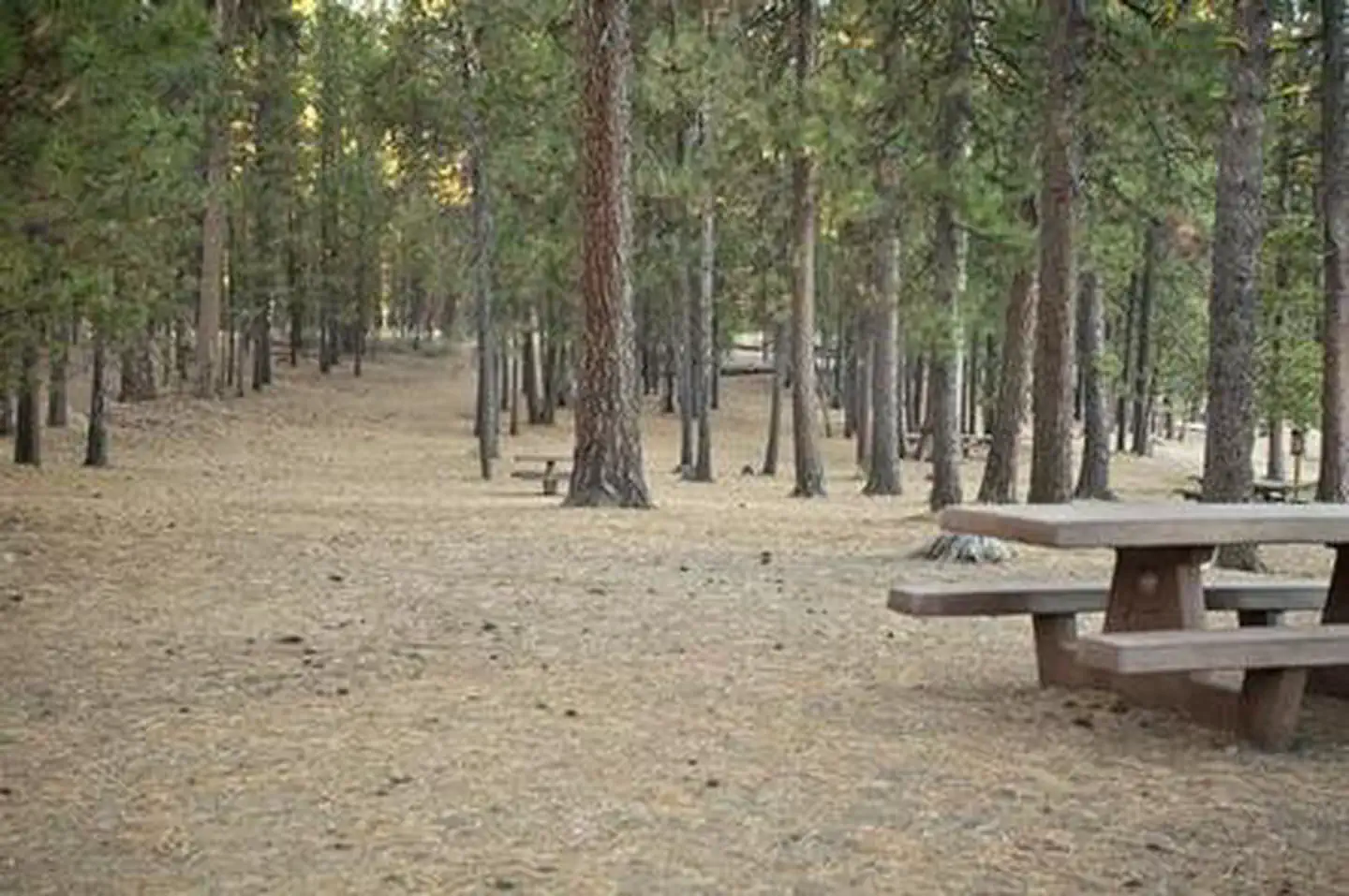 SOUTH TWIN LAKE CAMPGROUND photo 5
