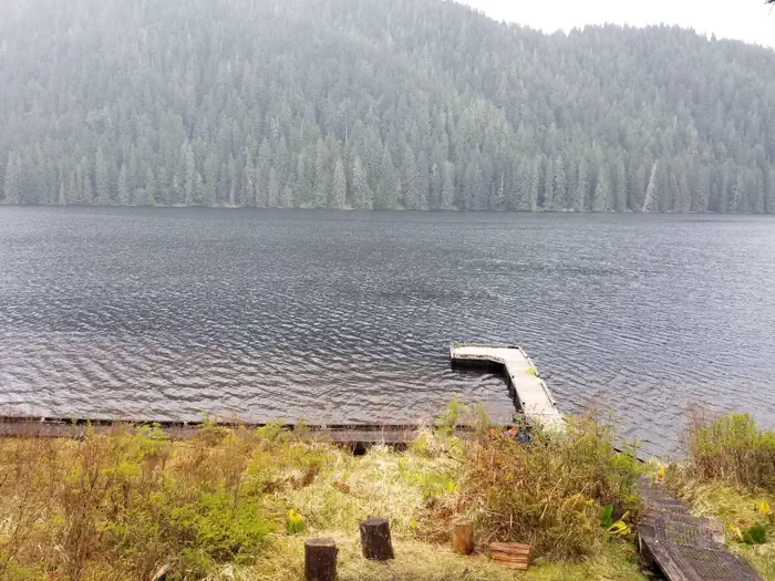 SOUTHEAST HECKMAN CABIN photo 3