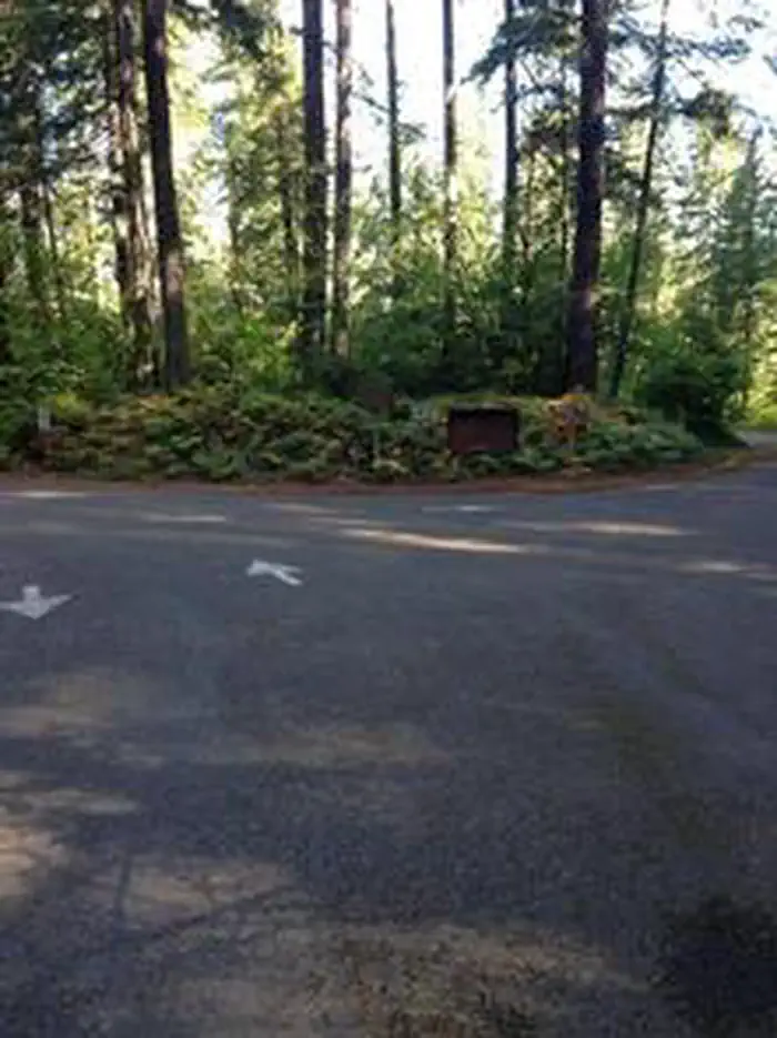 Southshore at Detroit Lake - Willamette (OR) photo 3