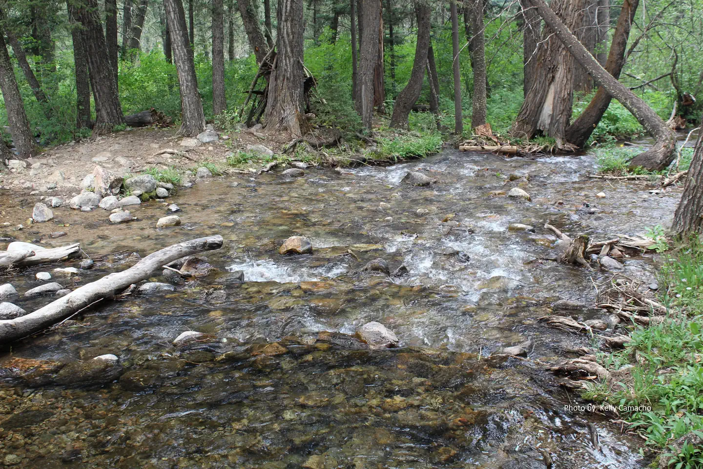 SPANISH CREEK CABIN photo 2