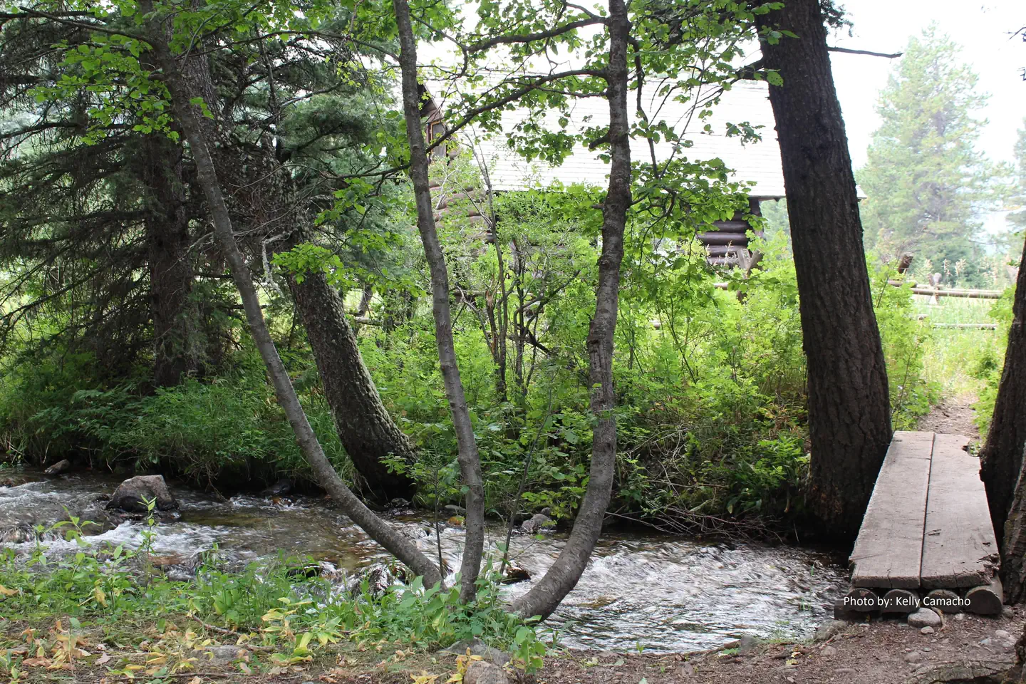 SPANISH CREEK CABIN photo 5