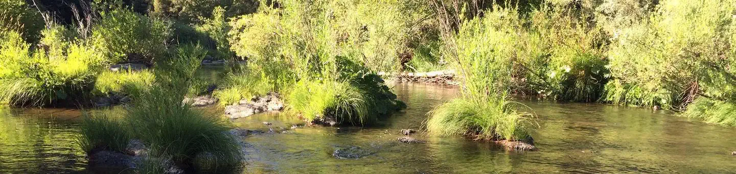 SPANISH CREEK CAMPGROUND photo