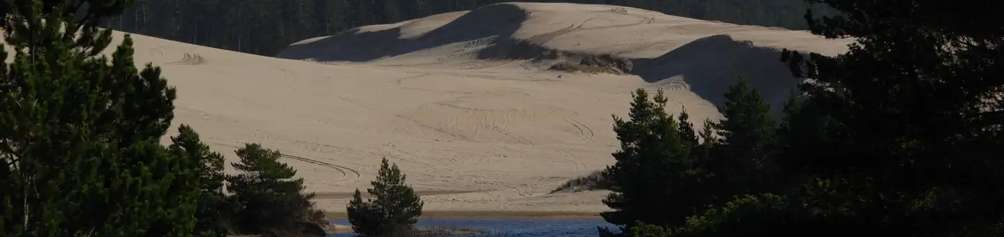 SPINREEL SAND CAMPING photo