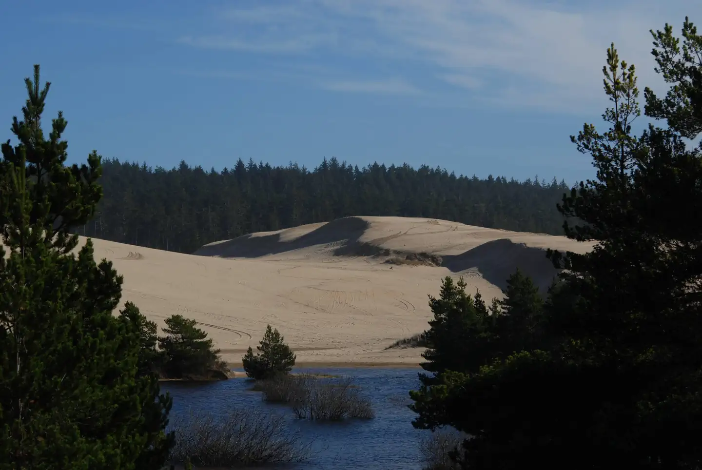 SPINREEL SAND CAMPING photo 2