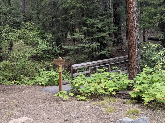 SPRING CREEK CAMPGROUND photo 4