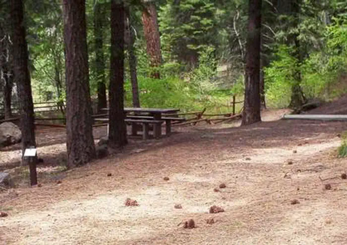 SPRING CREEK CAMPGROUND photo 5