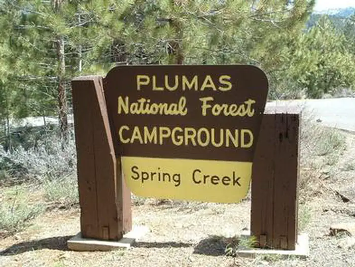 SPRING CREEK photo 3