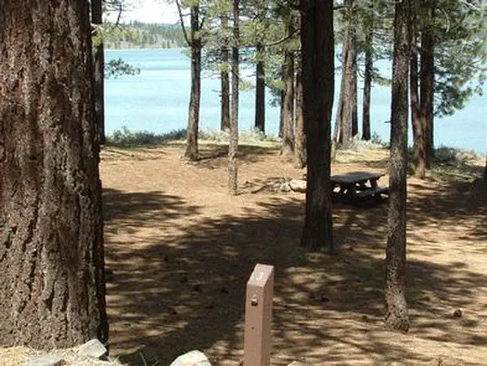 SPRING CREEK photo 5