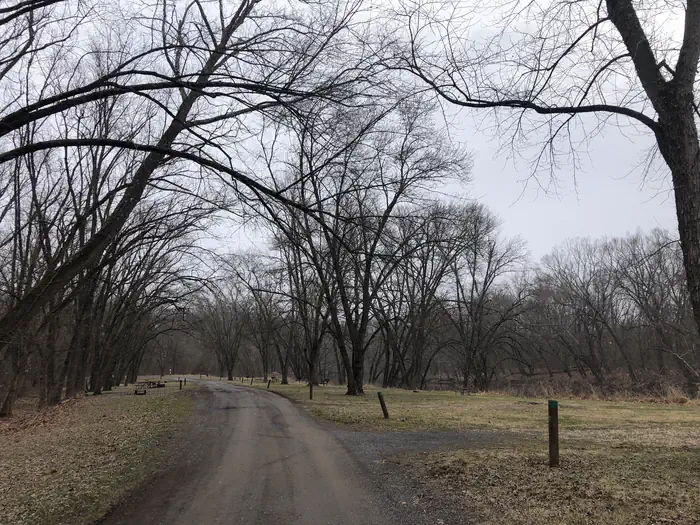 Spring Gap Campground photo 4