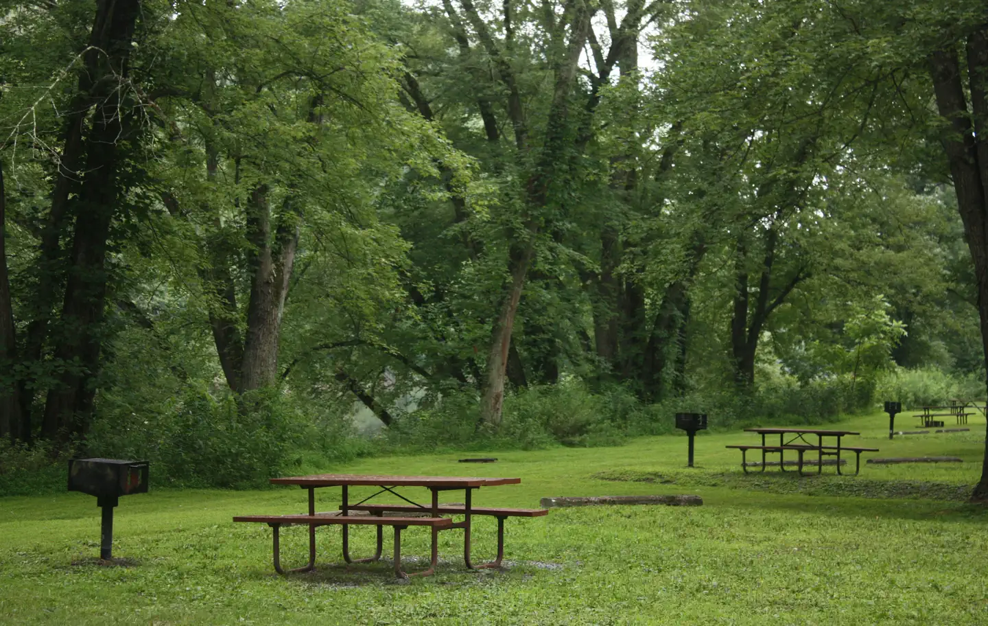 Spring Gap Campground photo 5