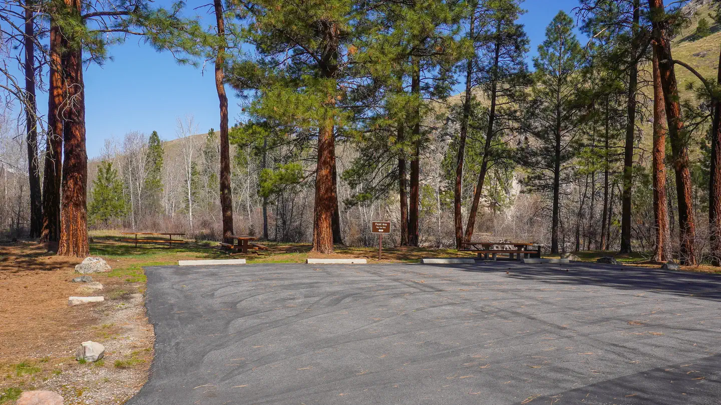 SPRING GULCH photo
