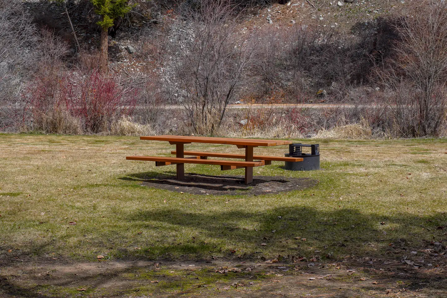 SPRING GULCH photo 2