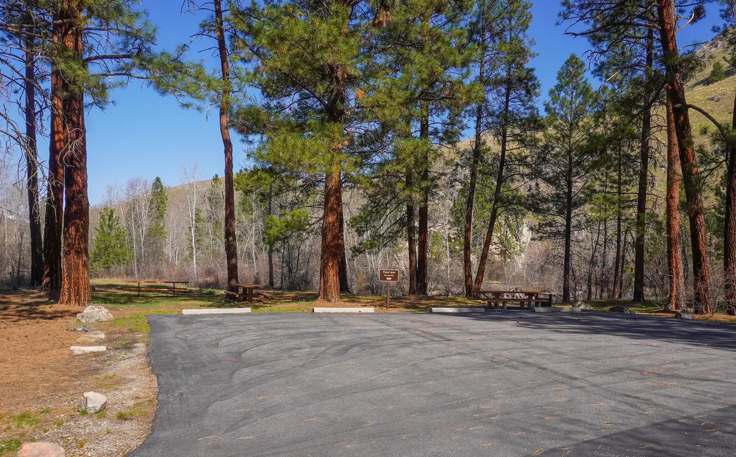 SPRING GULCH photo 5