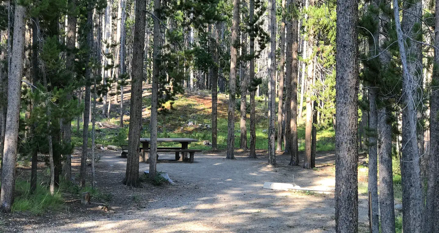 SPRING HILL CAMPGROUND photo 2