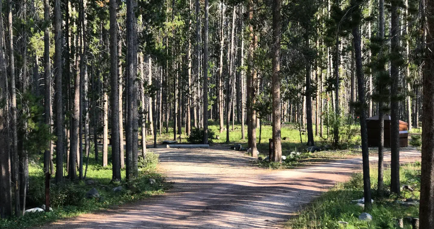 SPRING HILL CAMPGROUND photo 3