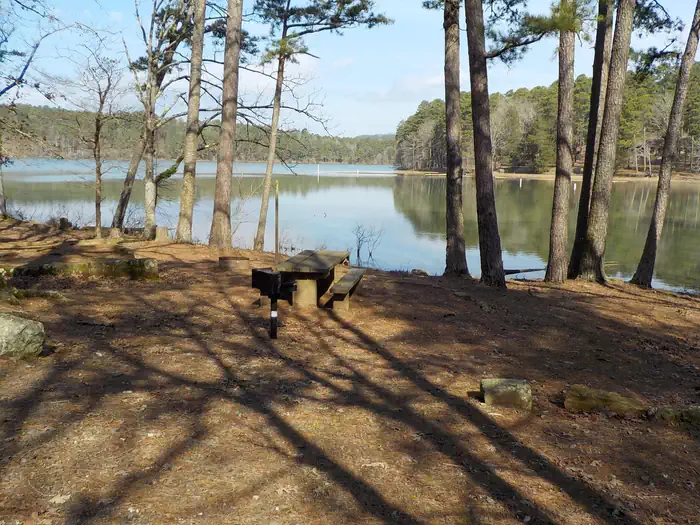 Spring Lake Recreation Area photo 4