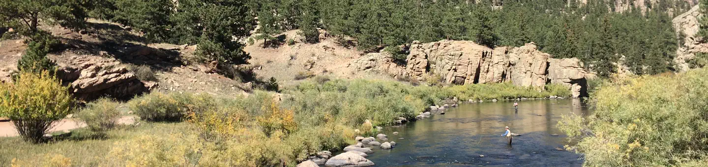 SPRINGER GULCH photo
