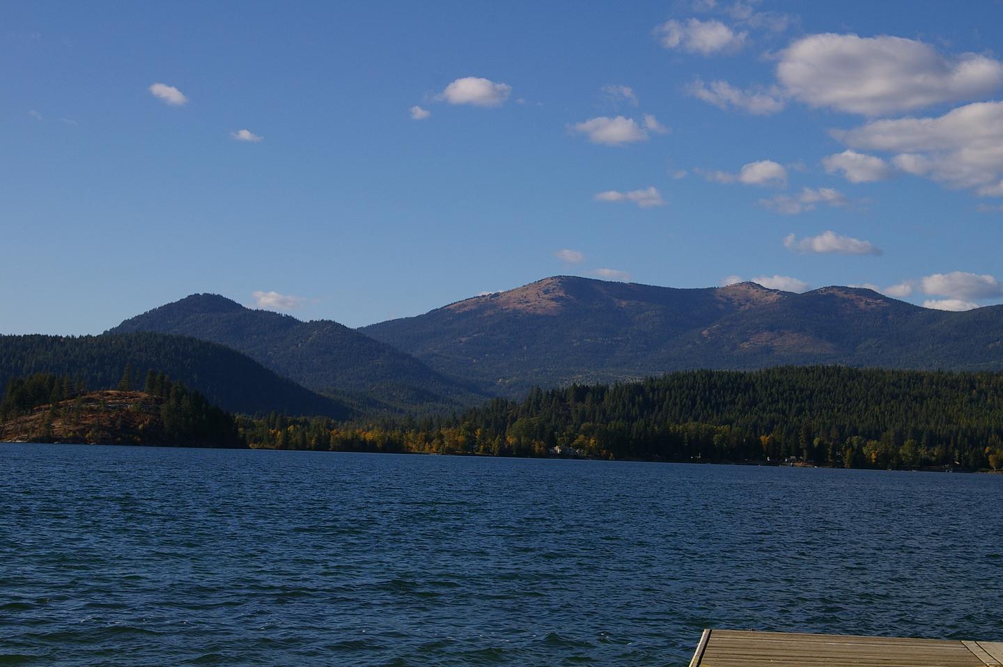 SPRINGY POINT photo 2