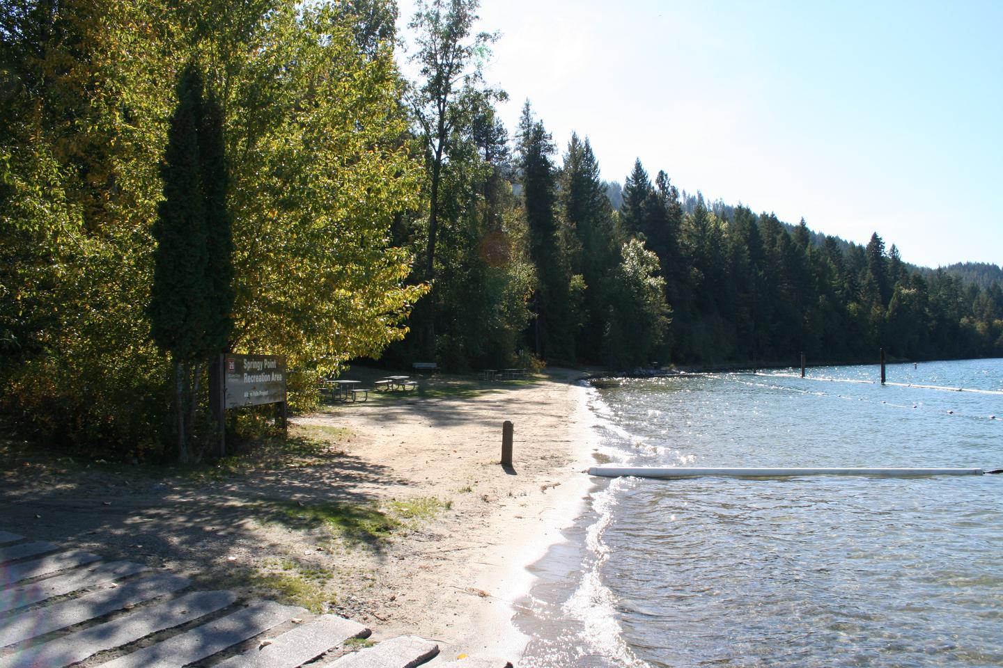 SPRINGY POINT photo 3