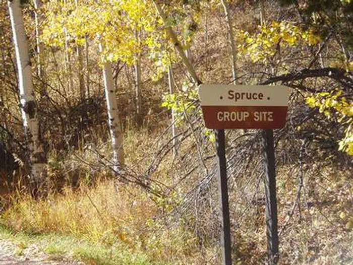 SPRUCE GROUP - LAKE ISABEL photo 3