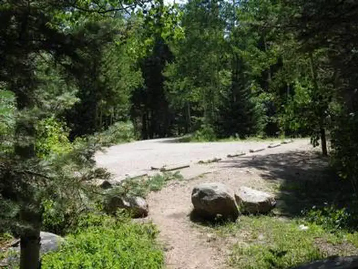 SPRUCE GROUP - LAKE ISABEL photo 4