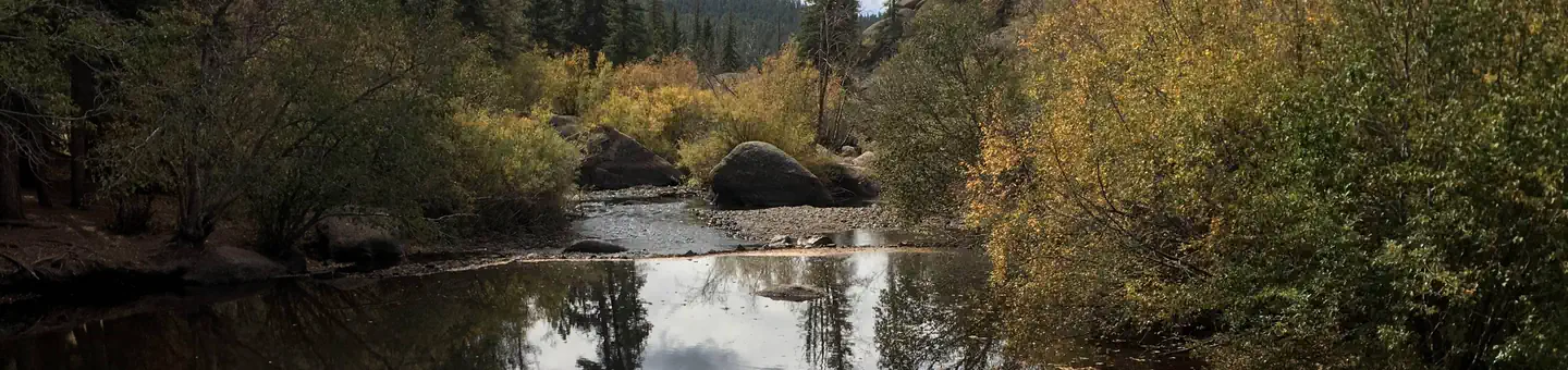 SPRUCE GROVE CAMPGROUND photo