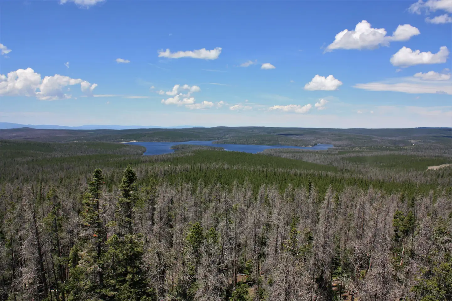 SPRUCE MTN FIRE LOOKOUT TOWER photo 5
