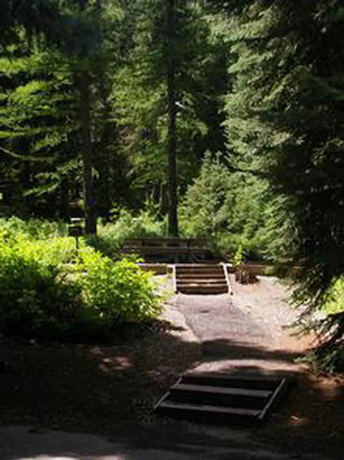 Spruces - Big Cottonwood photo 2