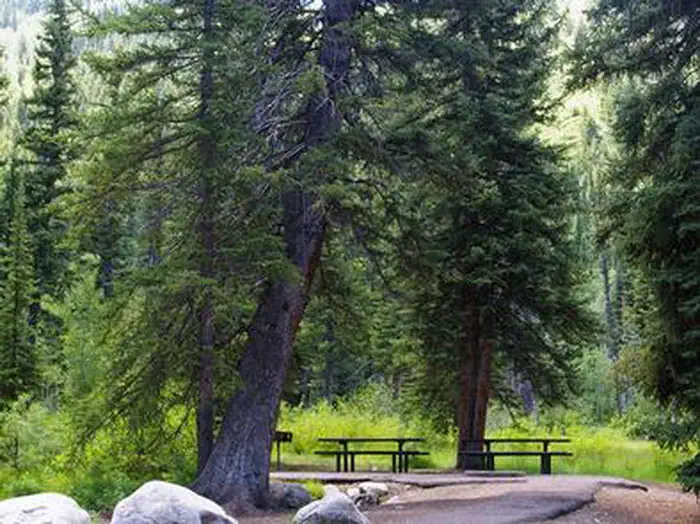 Spruces - Big Cottonwood photo 4