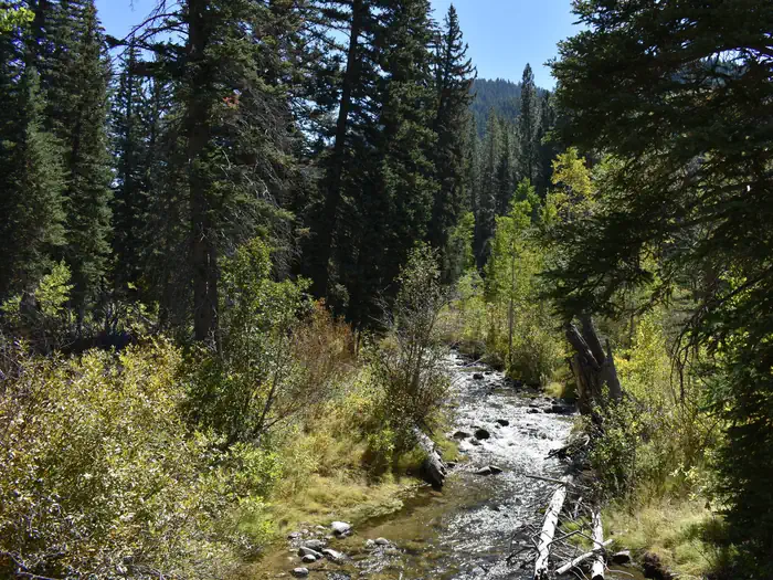 Spruces - Big Cottonwood photo 5