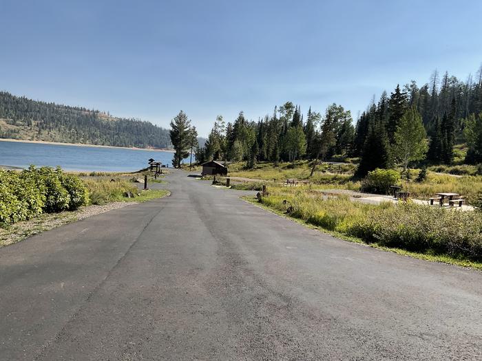 SPRUCES CAMPGROUND (DIXIE NF) photo 3