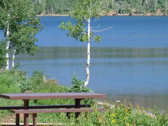 SPRUCES CAMPGROUND (DIXIE NF) photo 4