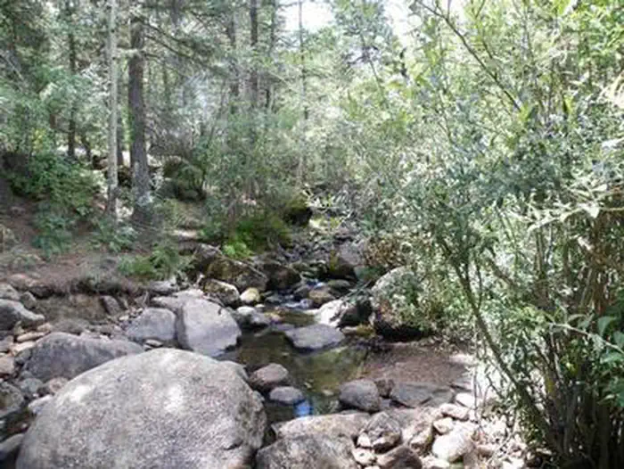 ST CHARLES CAMPGROUND - LAKE ISABEL photo 5