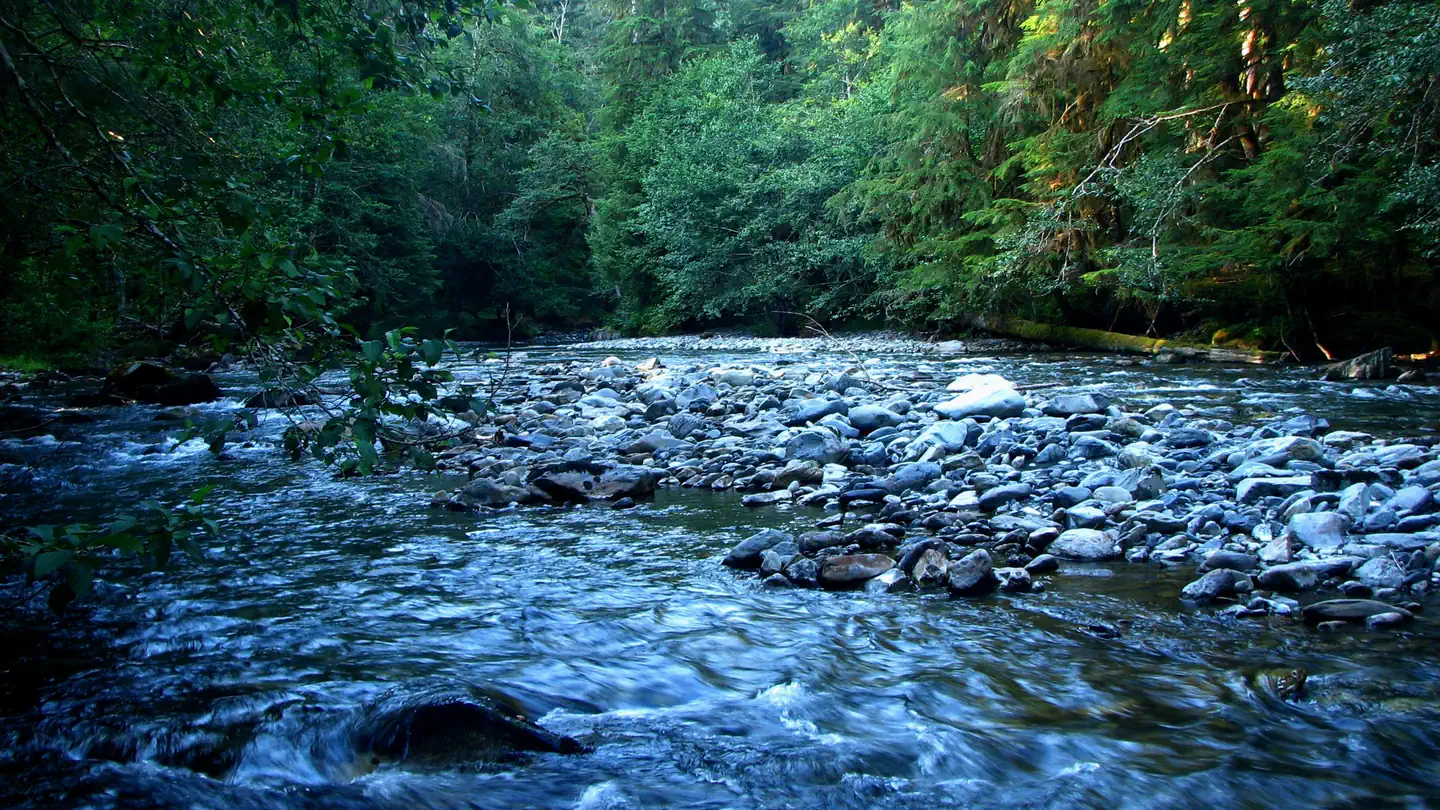 Staircase Campground photo
