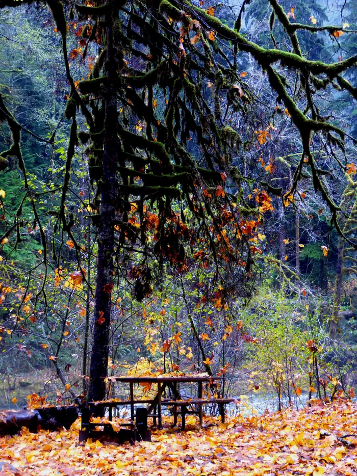 Staircase Campground photo 2