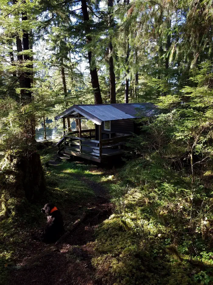 STANEY CREEK CABIN photo 3