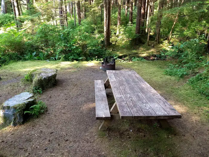 Starrigavan Campground and Day Use photo 2