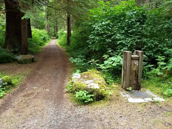 Starrigavan Campground and Day Use photo 3