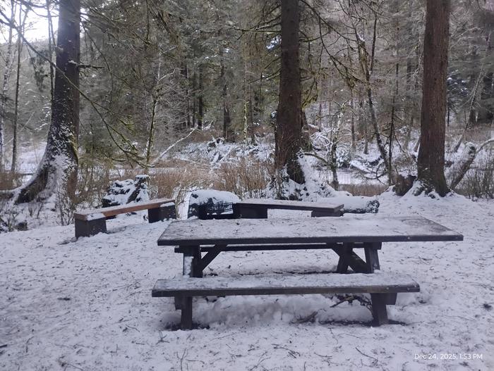 STARRIGAVAN CREEK CABIN photo 4
