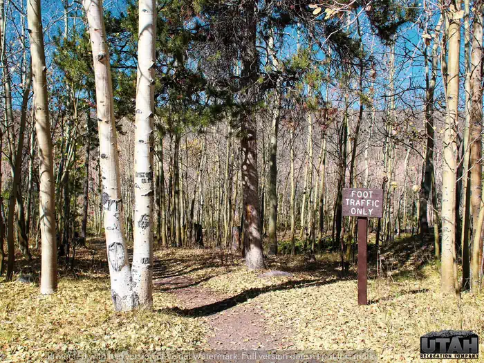 Stateline Campground Long Term photo 3