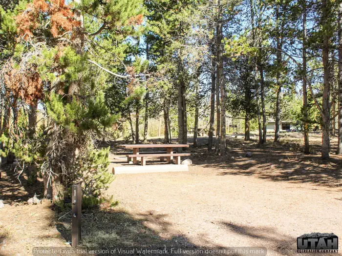 Stateline Campground Long Term photo 5