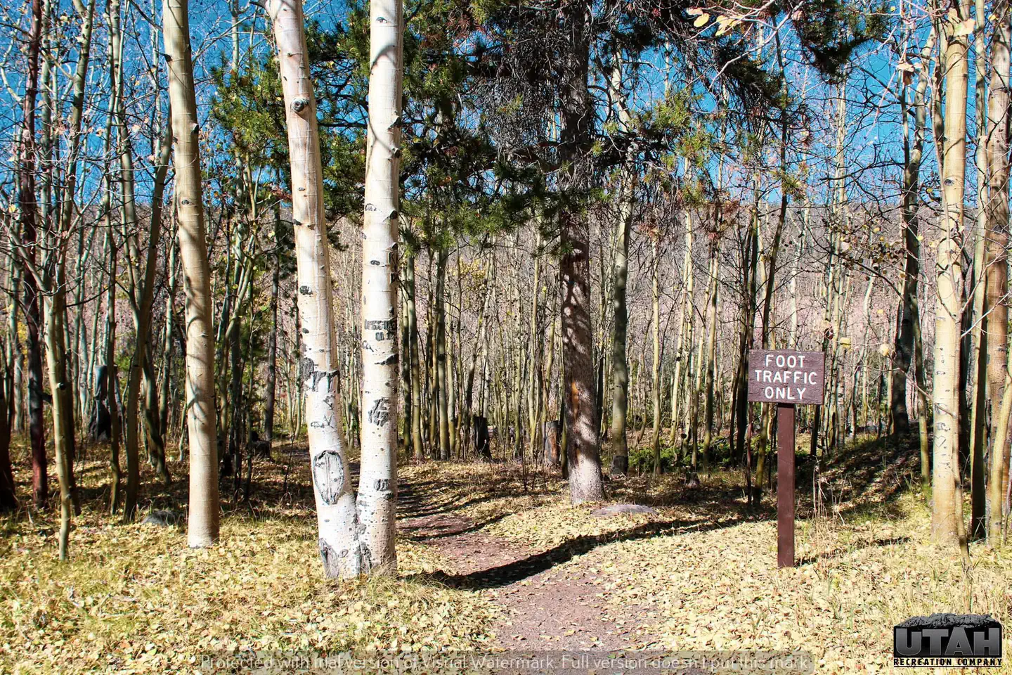 STATELINE photo 3