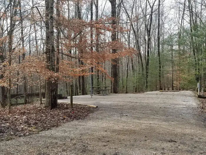 Station Camp Campground photo 2