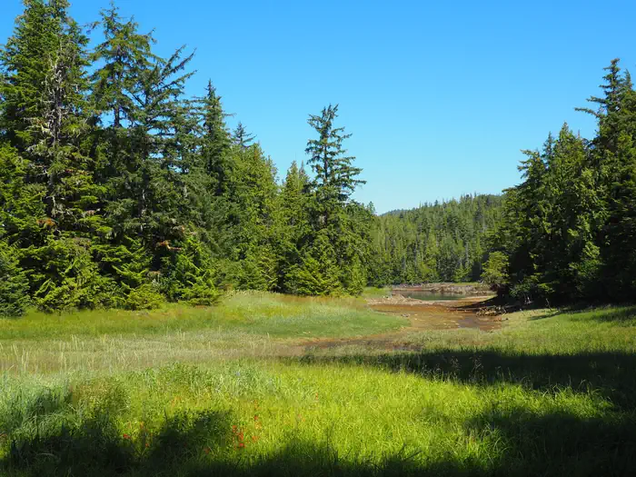 STEAMER BAY CABIN photo 4